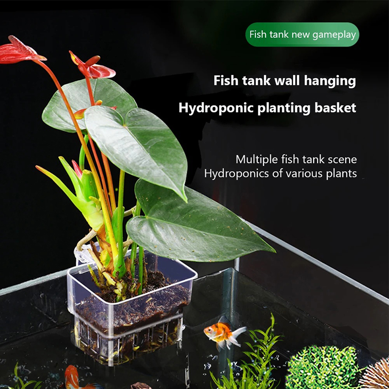 Aquarium Planted Wall - Baru【Tempat Tanaman Akuarium Gantung yang Dipasang
