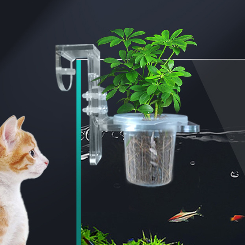 Aquarium Planted Wall - Cangkir tanam tangki ikan, pendukung hidroponik