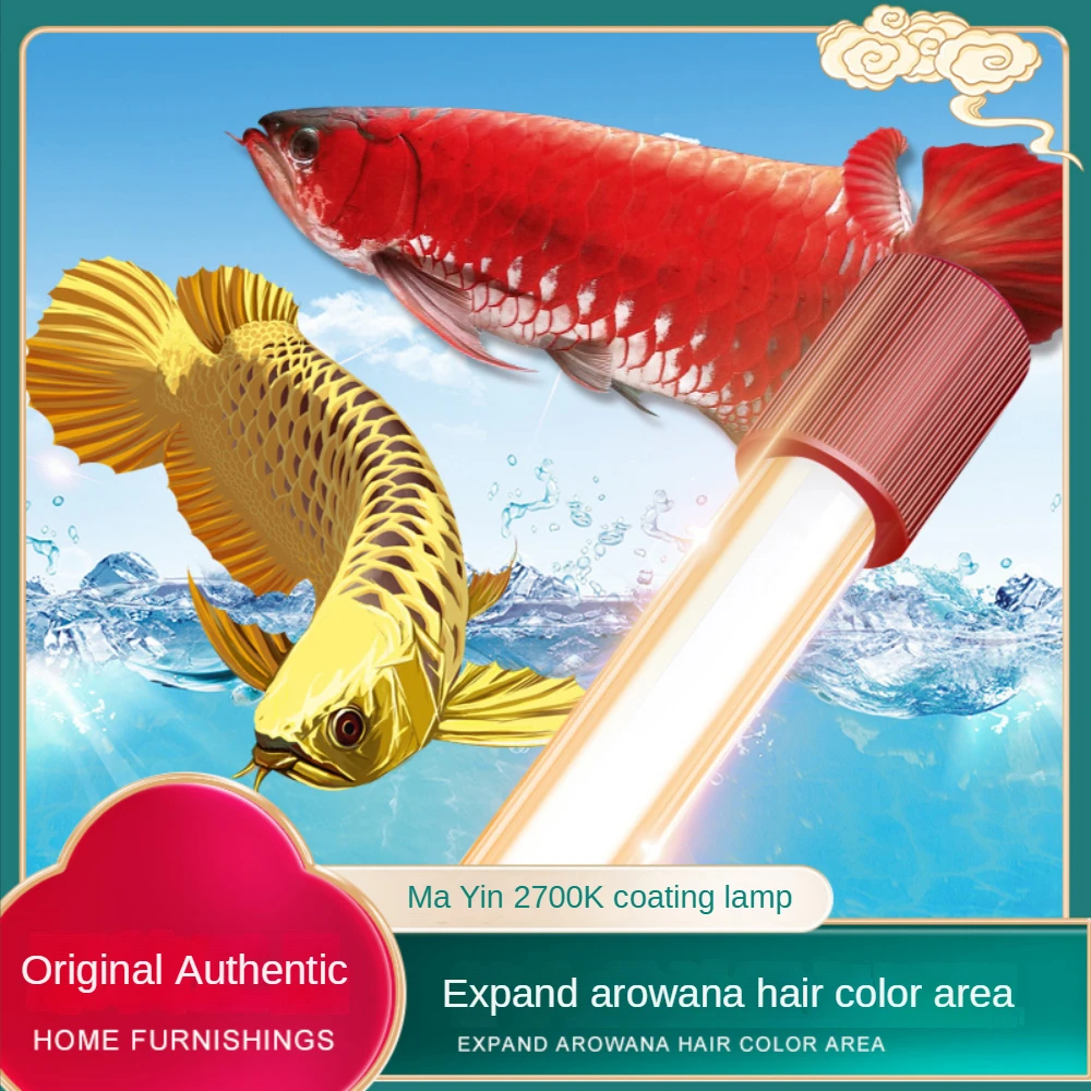 Aquarium Plant Yellowing - Lampu Akuarium Ikan Arowana Kaca, Lampu