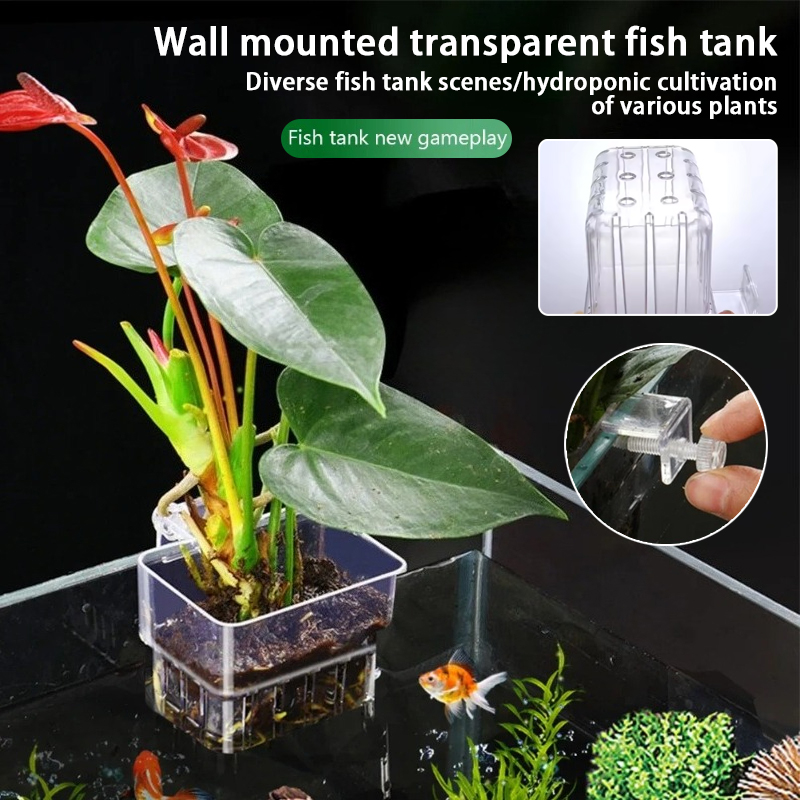 Aquarium Planted Wall - Pot Tanaman Gantung Akuarium, Wadah Tanaman