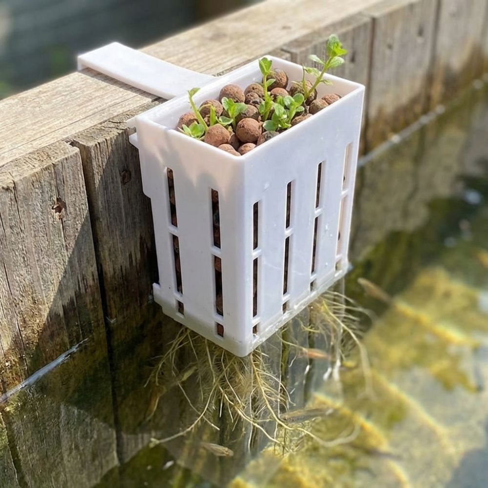 Aquarium Planted Wall - Keranjang Tanaman Akuarium Gantung Dinding, Wadah