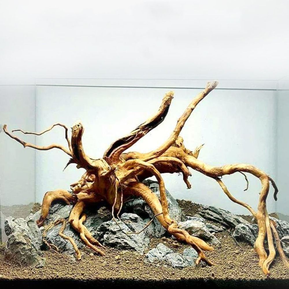 Aquarium Planted Tree - Kayu Apung Akuarium Besar 20-25CM, Dekorasi