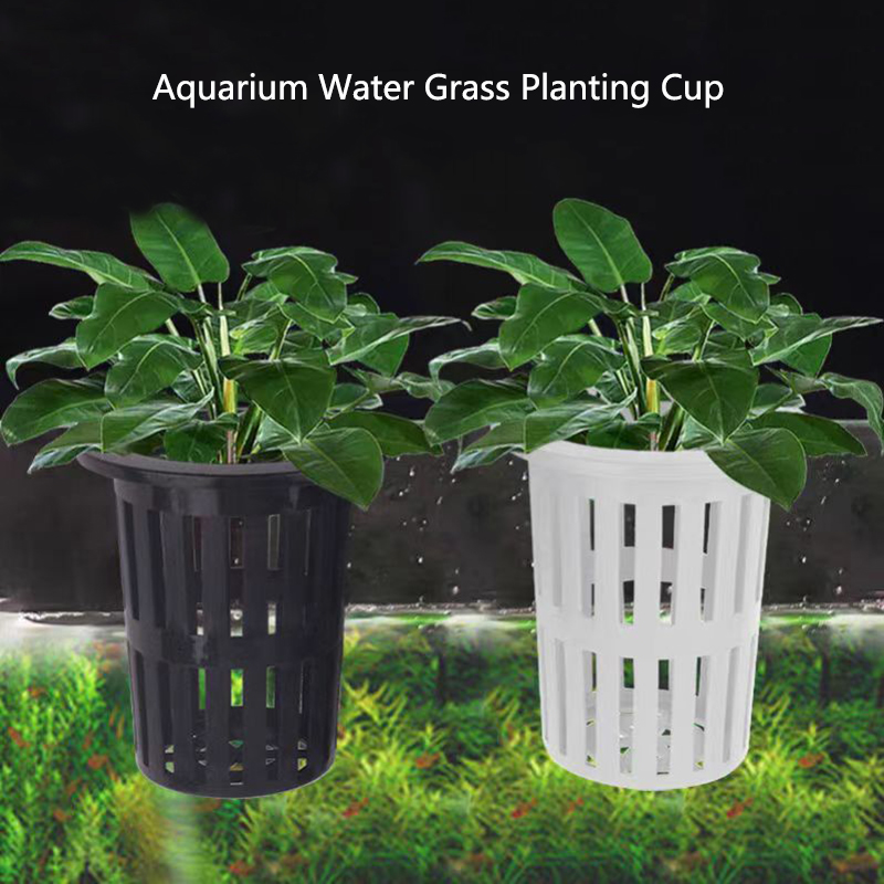Aquarium Planted Wall - 1/3 Buah Keranjang Tanaman Akuarium Penanam