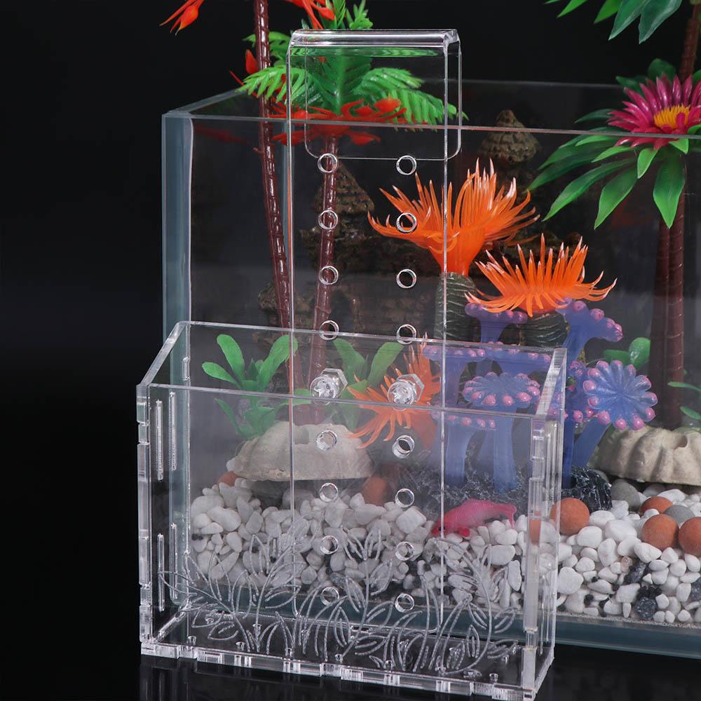 Aquarium Planted Wall - Cangkir Tanaman Akuarium Gantung Dinding Transparan
