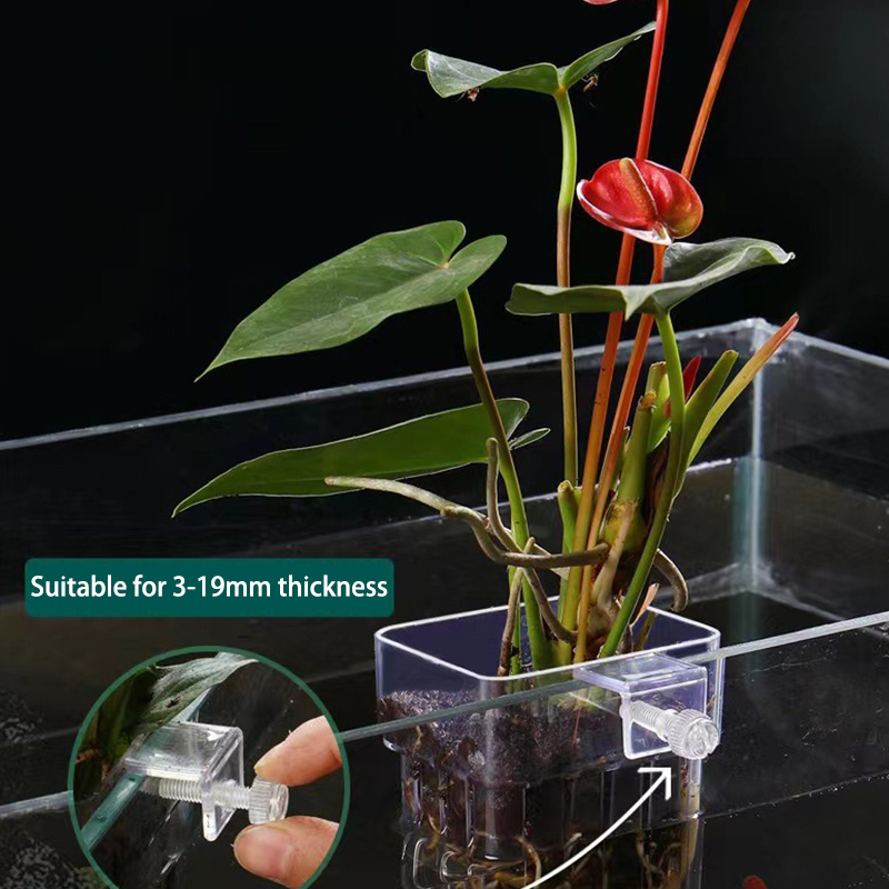 Aquarium Planted Fish Tank - Akuarium ikan multifungsi cangkir penanaman rumput