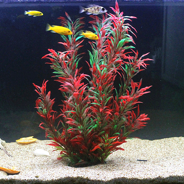 Aquarium Planted Fish Tank - 50CM Kolam Ikan Buatan Tanaman Langka