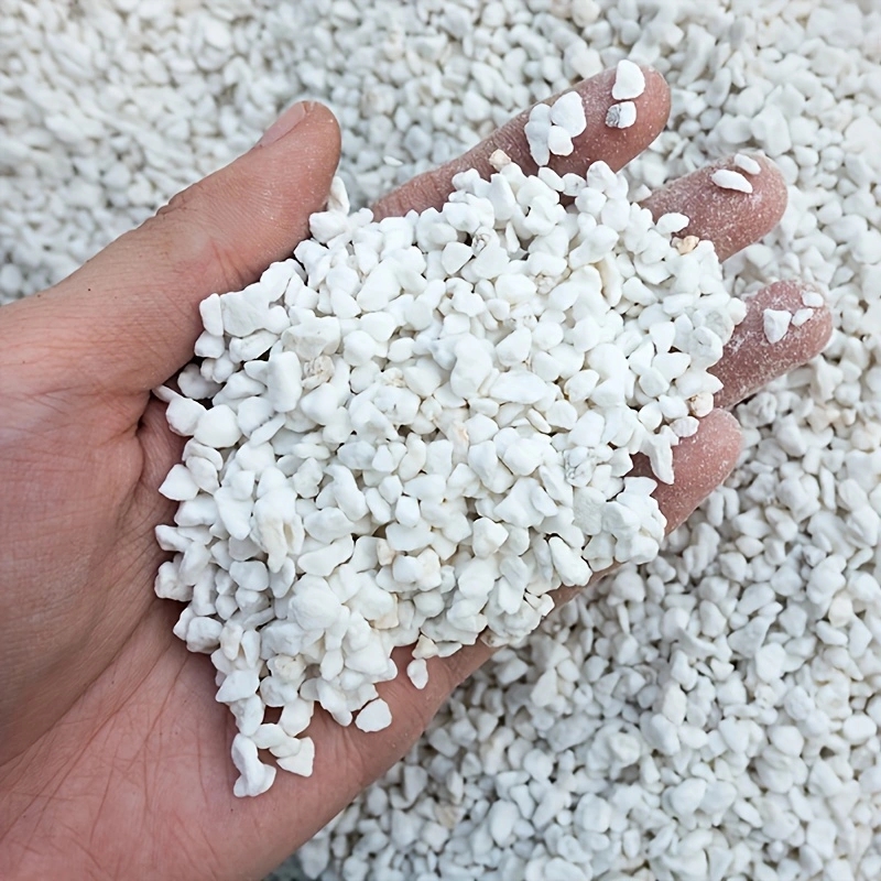 Tissue Culture Plant - 1 Pak Perlite Hortikultura 3-6mm untuk