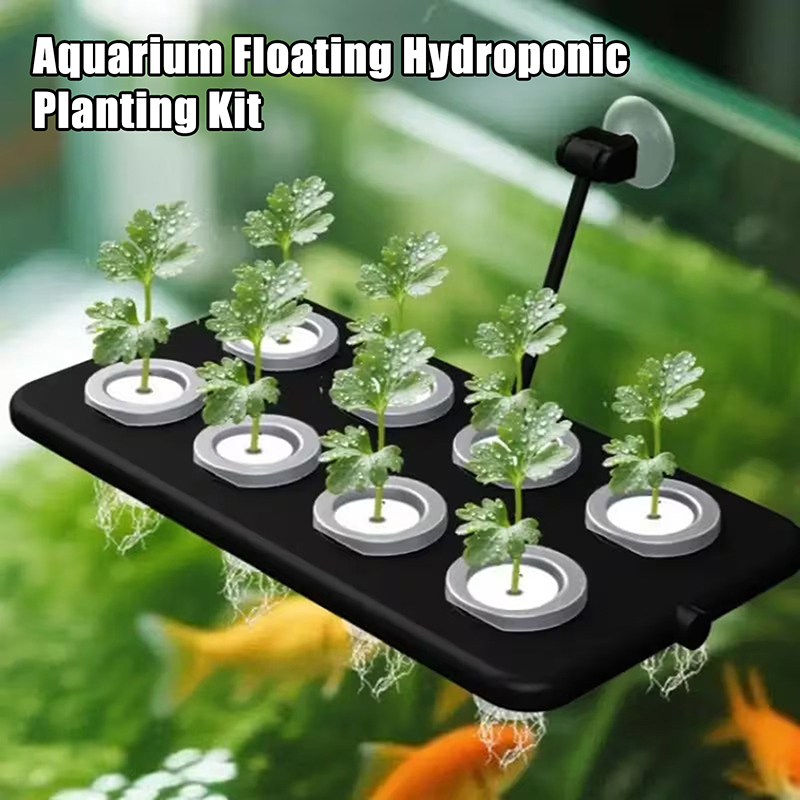 Aquarium Planted Wall - Kit Penanaman Hidroponik Mengambang di Akuarium,