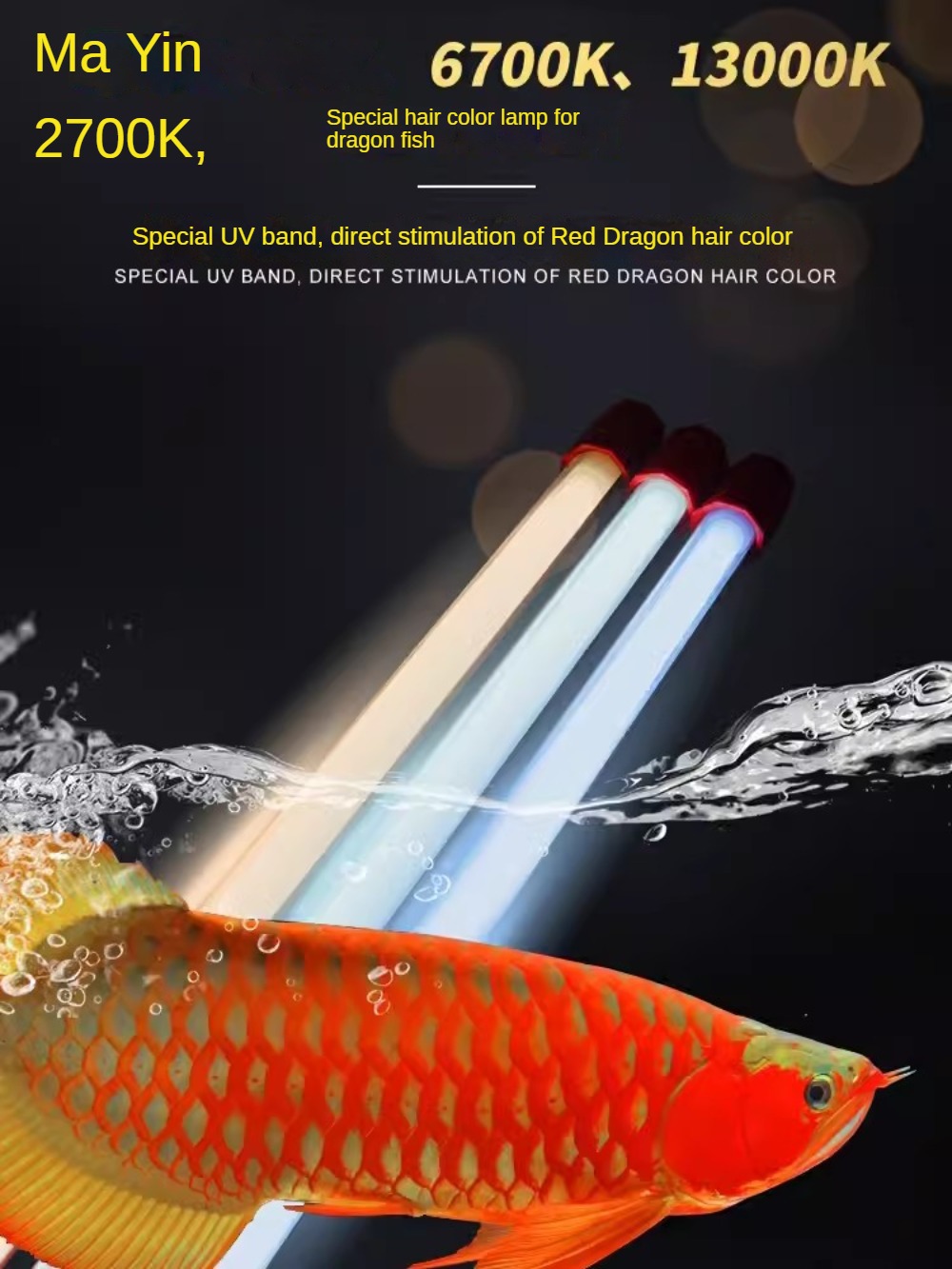 Aquarium Plant Yellowing - Lampu Akuarium Ikan Arowana Kaca, Lampu