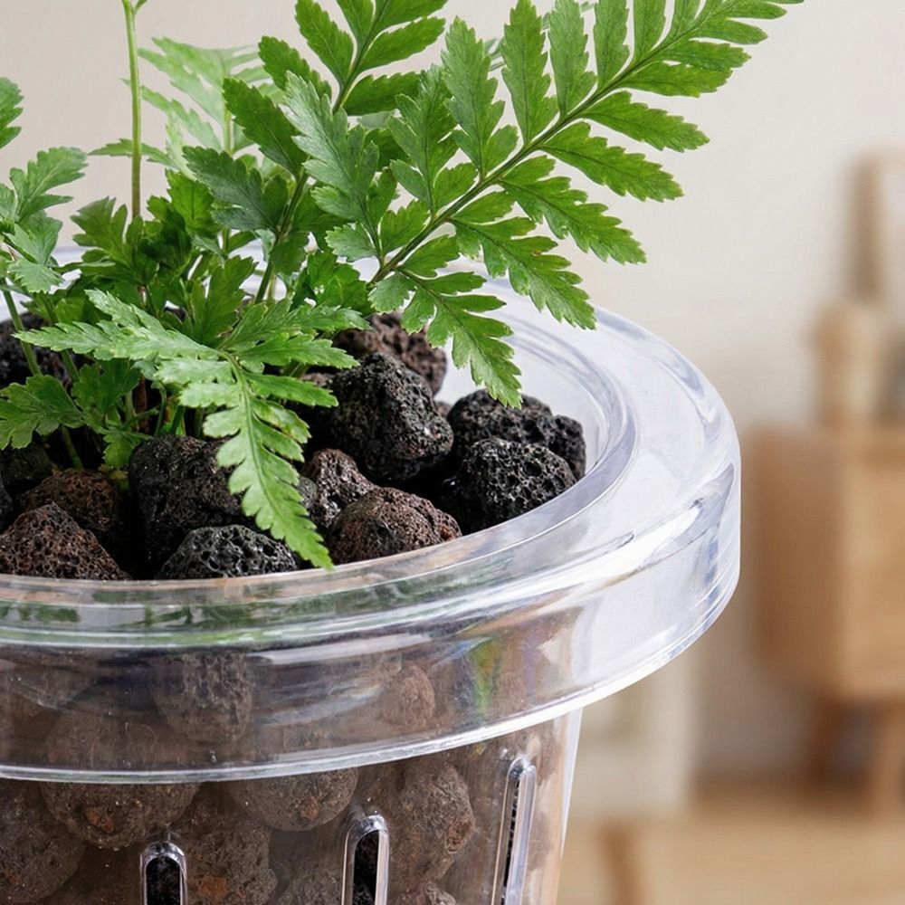 Aquarium Planted Wall - Keranjang Tanam Akuarium Gantung Dinding Bulat