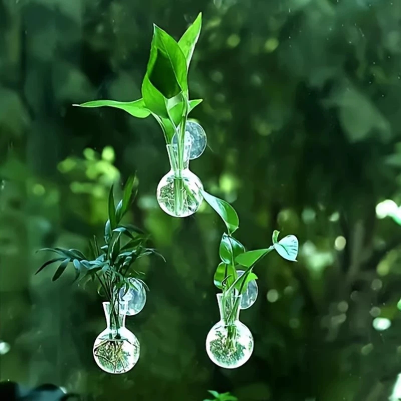 Aquarium Planted Wall - Vas Bunga Dinding Semi Lingkaran Kreatif,