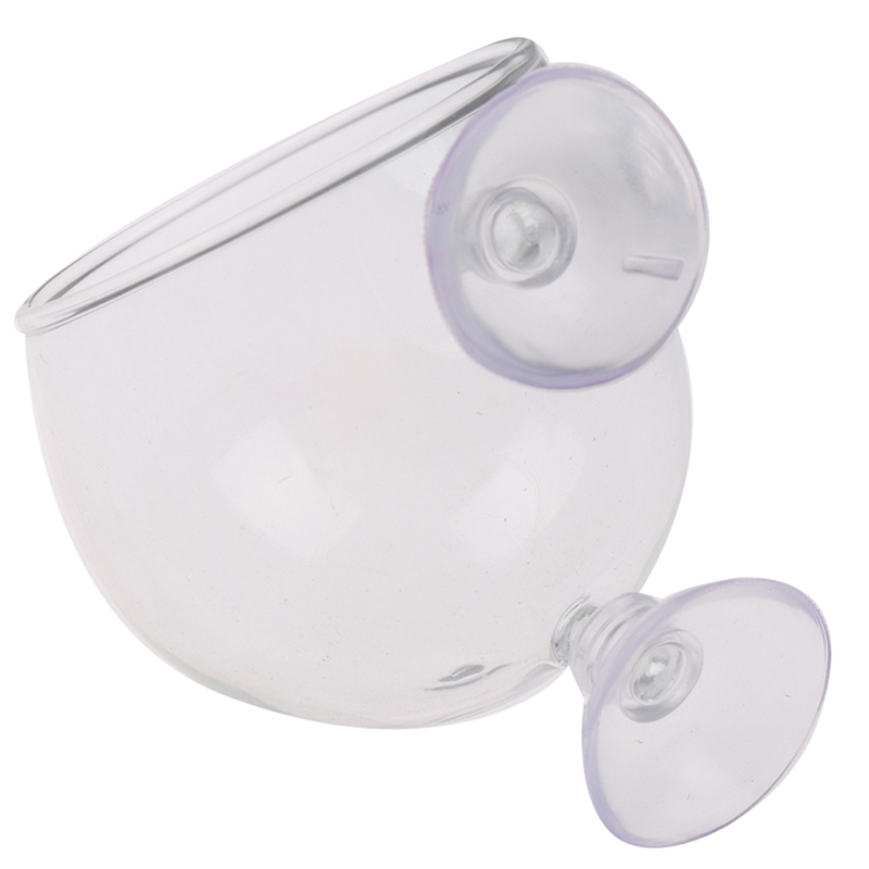 Planted Aquarium Mini - 1 Buah Pot Kaca Kristal Mini
