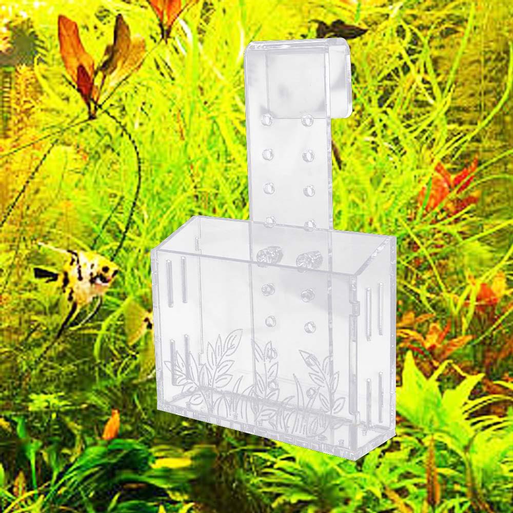 Cangkir Tanaman Akuarium Gantu - Aquarium Planted Wall ulasan dan harga