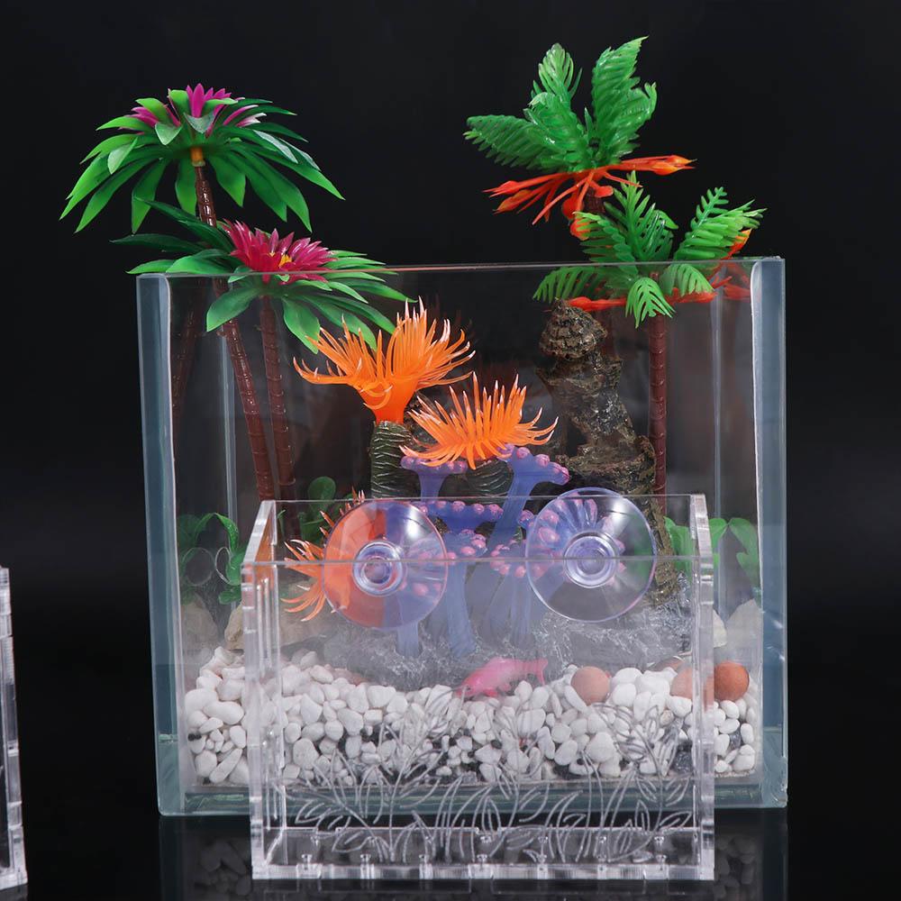 Cangkir Tanaman Akuarium Gantu - Aquarium Planted Wall ulasan dan harga