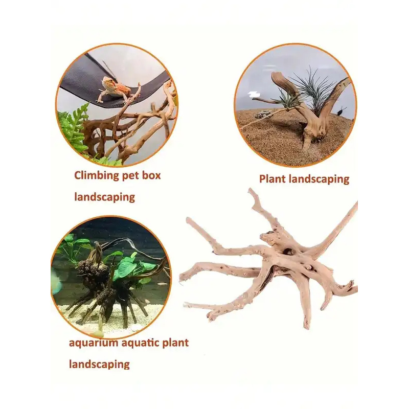 Kayu Apung Alami untuk Dekoras - Aquarium Planted Tree ulasan dan harga
