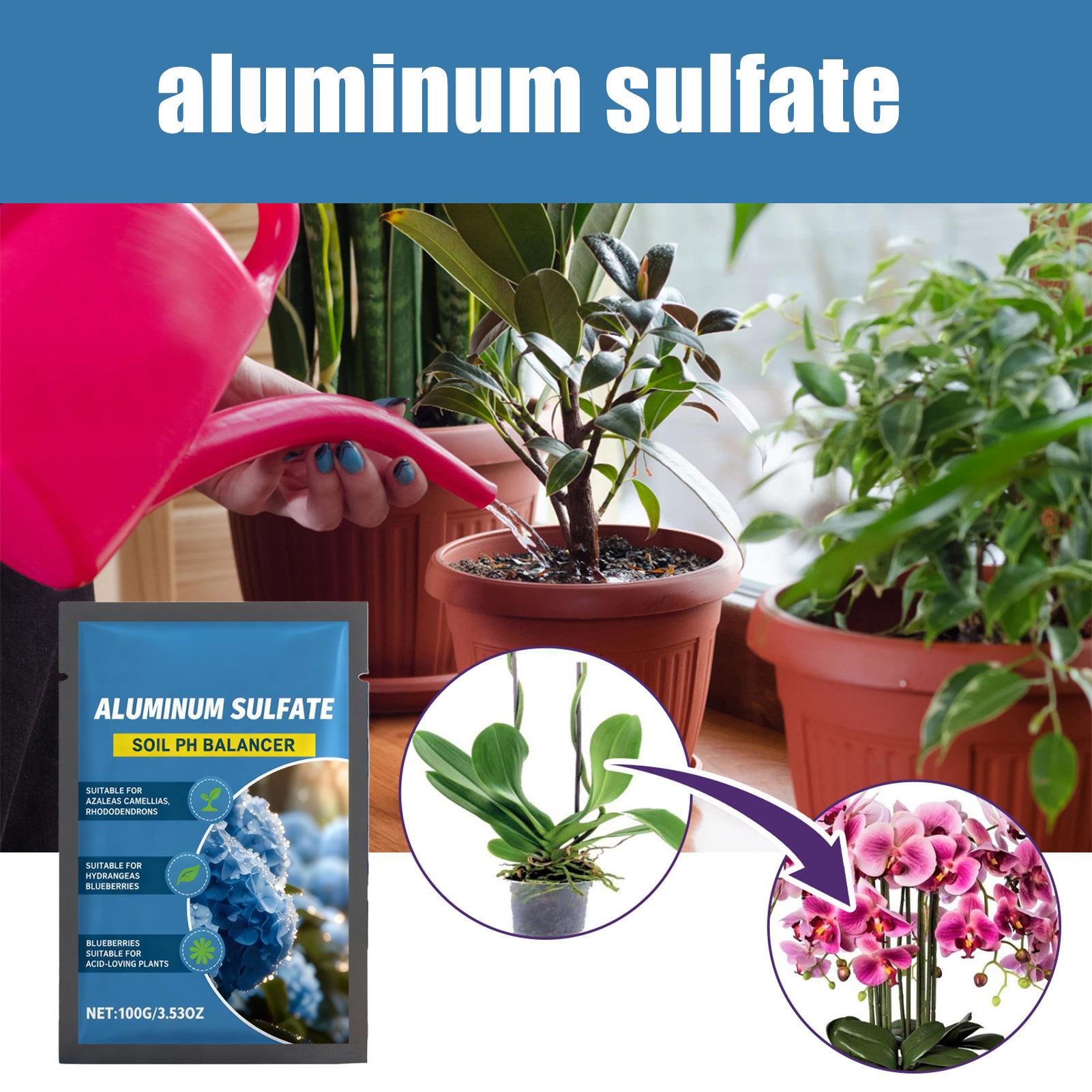Suplemen Nutrisi Asam Konsentr - Tissue Culture Plant ulasan dan harga