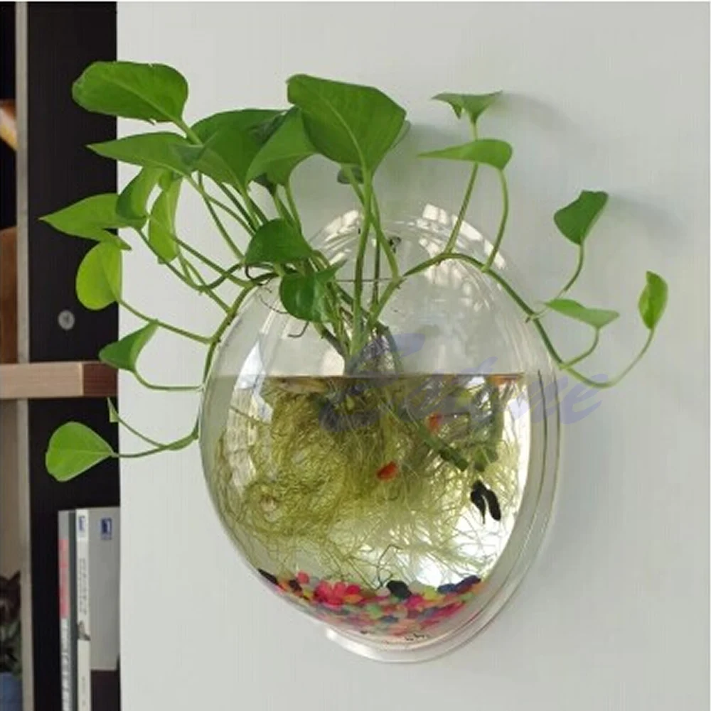 Mangkuk Ikan Akrilik Terpasang - Aquarium Planted Wall ulasan dan harga