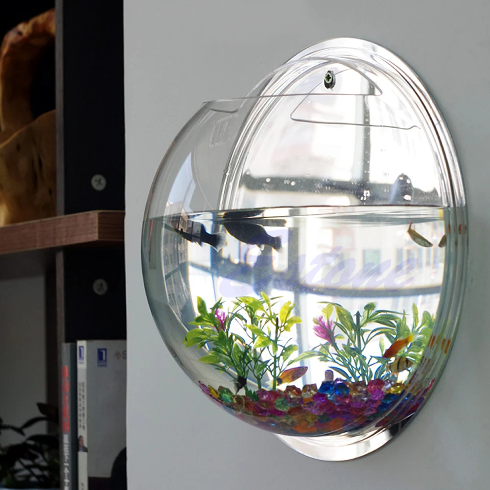 Mangkuk Ikan Akrilik Terpasang - Aquarium Planted Wall ulasan dan harga