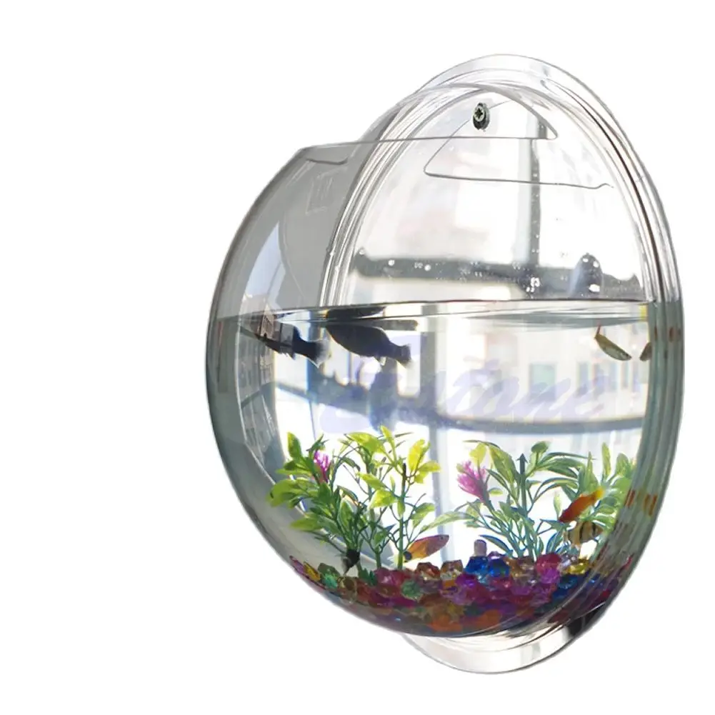 Mangkuk Ikan Akrilik Terpasang - Aquarium Planted Wall ulasan dan harga