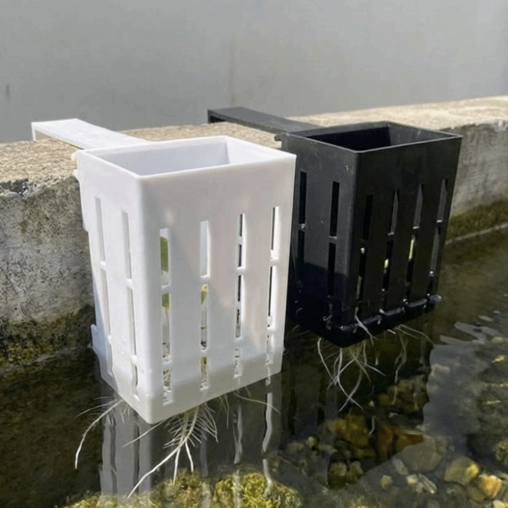 Keranjang Tanaman Akuarium Gan - Aquarium Planted Wall ulasan dan harga