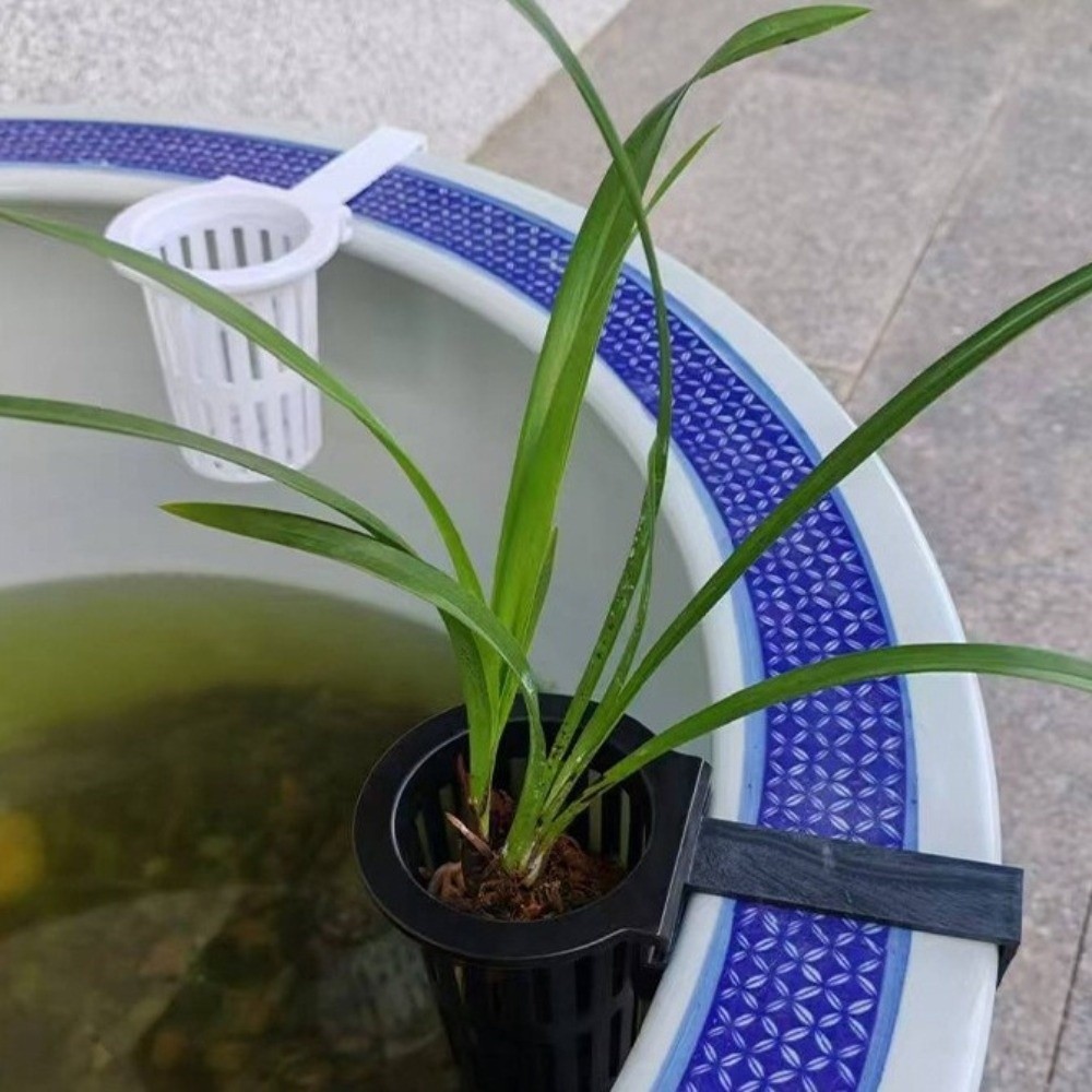 Keranjang Tanaman Akuarium Gan - Aquarium Planted Wall ulasan dan harga