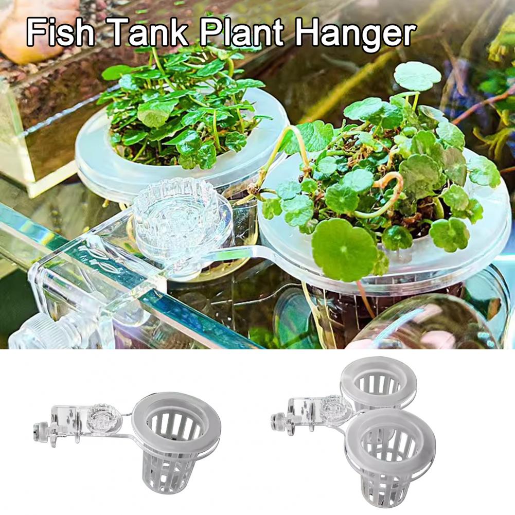 Tempat Tanaman Akuarium Terpas - Aquarium Planted Wall ulasan dan harga