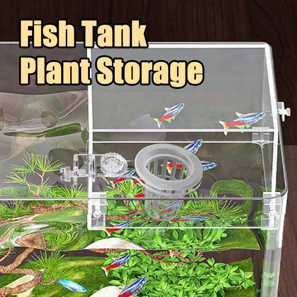 Tempat Tanaman Akuarium Terpas - Aquarium Planted Wall ulasan dan harga