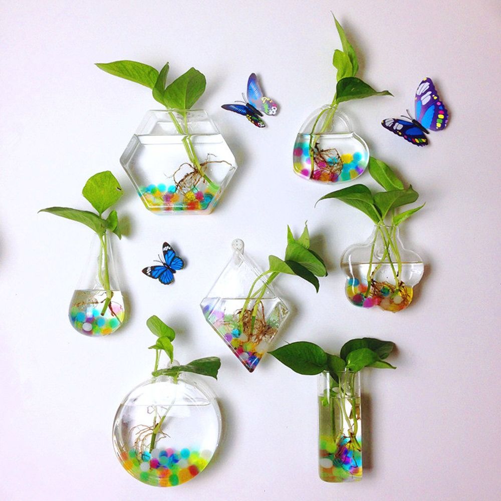 Vas Gantung Dinding Bentuk Ker - Aquarium Planted Wall ulasan dan harga
