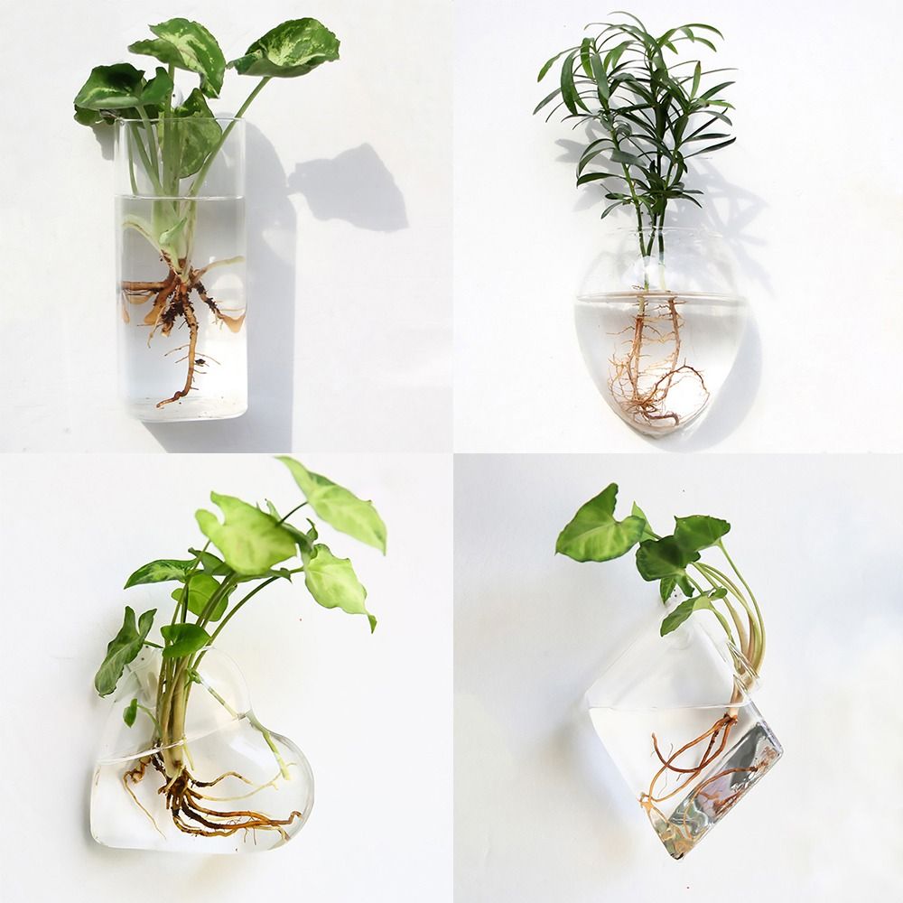 Vas Gantung Dinding Bentuk Ker - Aquarium Planted Wall ulasan dan harga