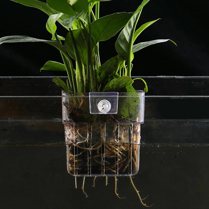 Baru【Tempat Tanaman Akuarium G - Aquarium Planted Wall ulasan dan harga