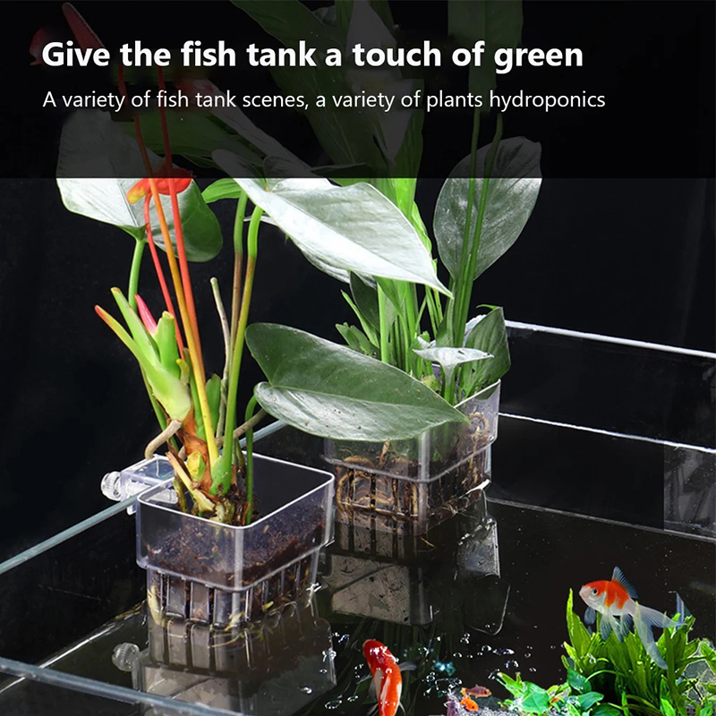 Baru【Tempat Tanaman Akuarium G - Aquarium Planted Wall ulasan dan harga