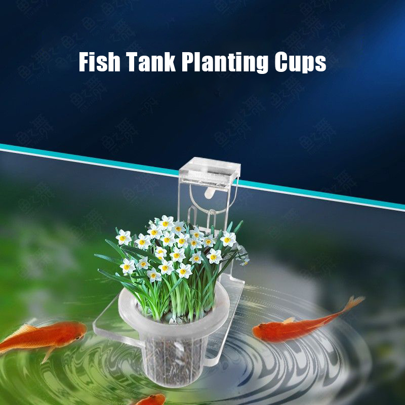 Cangkir tanam tangki ikan, pen - Aquarium Planted Wall ulasan dan harga