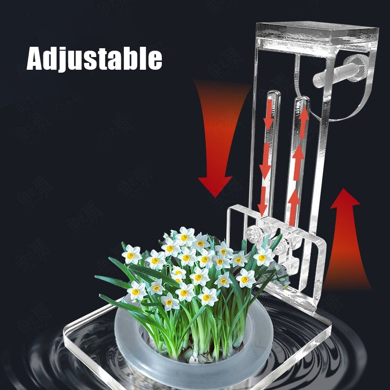 Cangkir tanam tangki ikan, pen - Aquarium Planted Wall ulasan dan harga