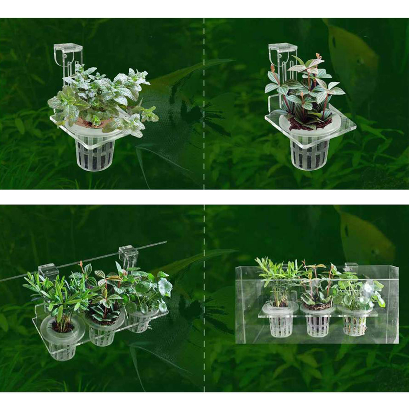 Cangkir tanam tangki ikan, pen - Aquarium Planted Wall ulasan dan harga