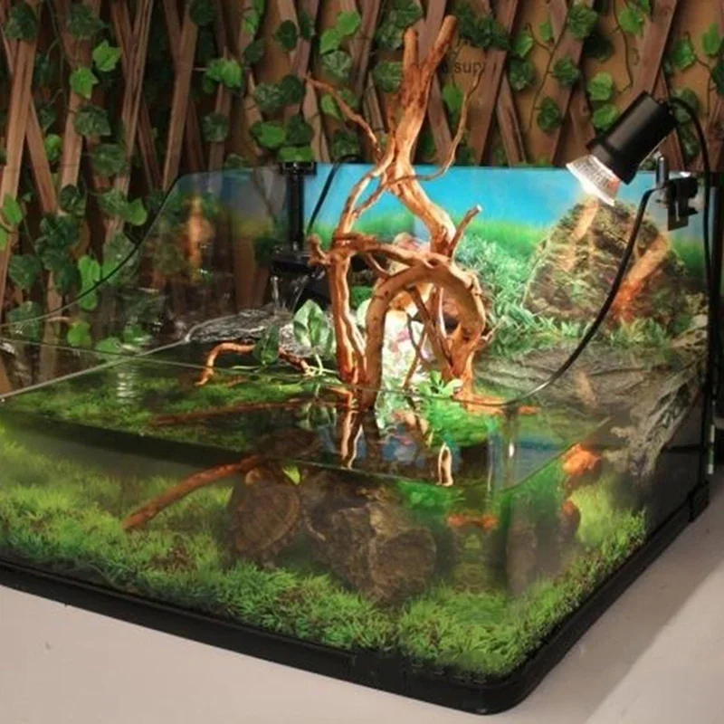 Pohon alami kayu apung akuariu - Aquarium Planted Tree ulasan dan harga