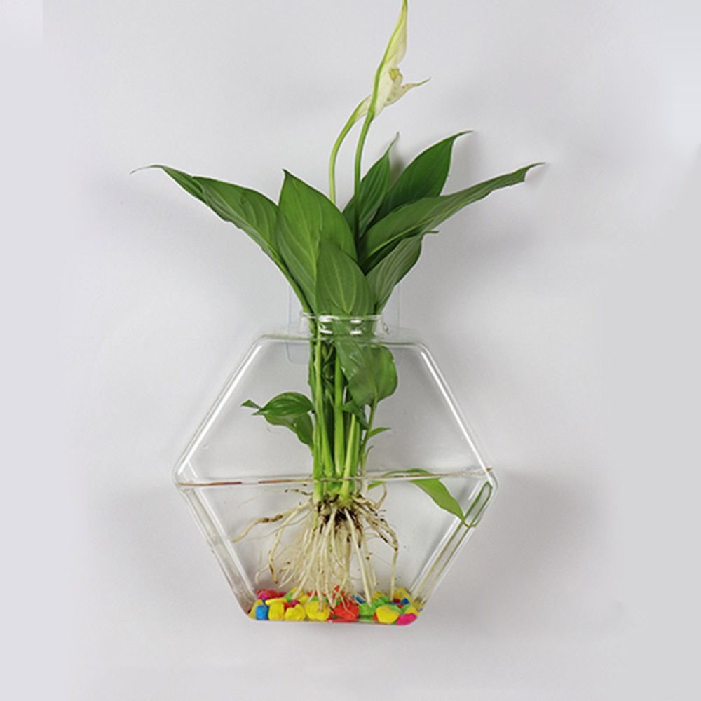 Vas Gantung Dinding Bentuk Ker - Aquarium Planted Wall ulasan dan harga