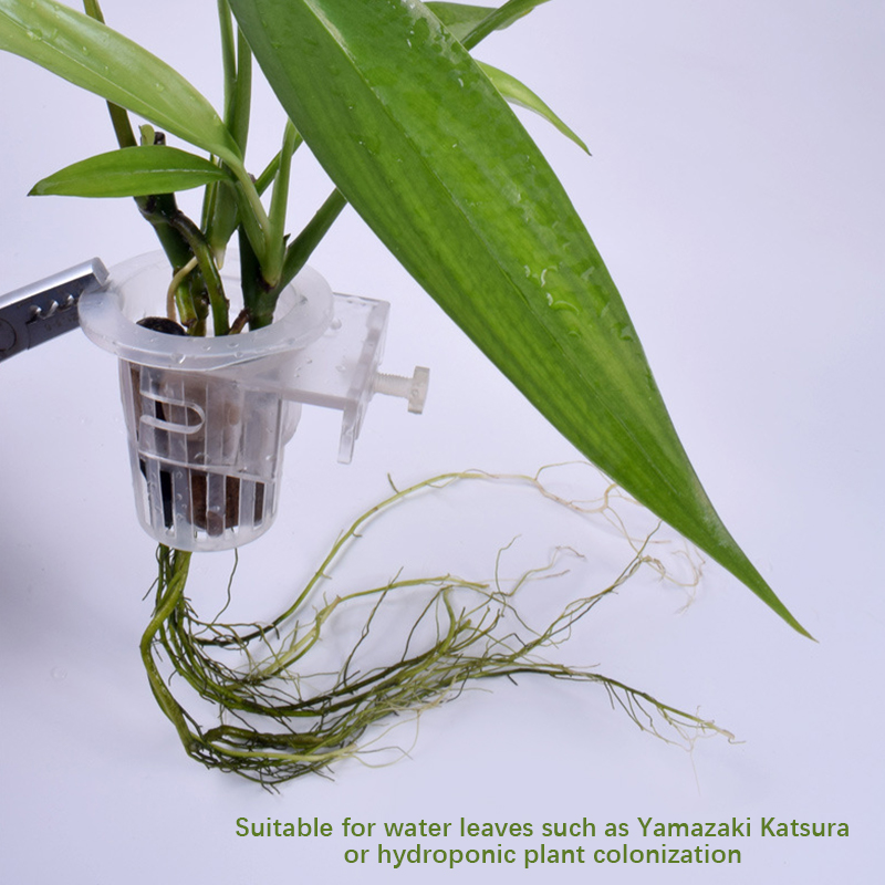 Dinding dipasang tanaman akuat - Aquarium Planted Wall ulasan dan harga