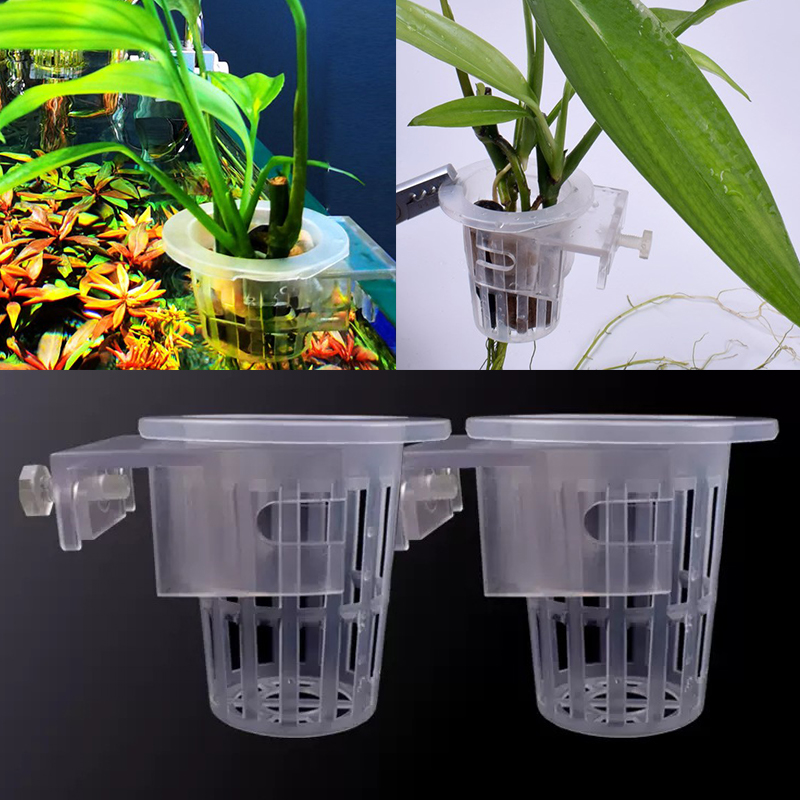 Dinding dipasang tanaman akuat - Aquarium Planted Wall ulasan dan harga