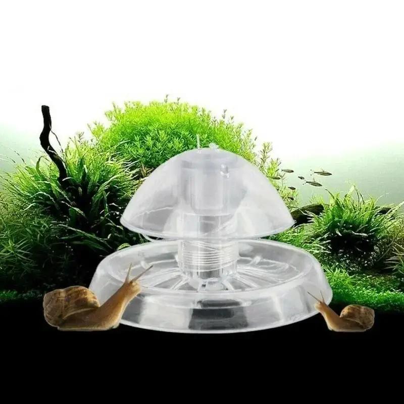 2026 Perangkap Siput Plastik T - Aquarium Plant Original ulasan dan harga
