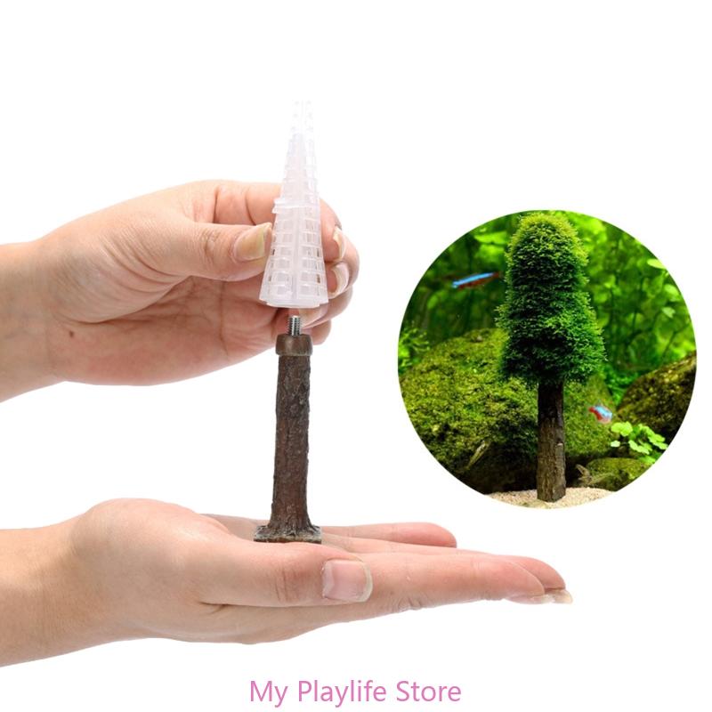 Akuarium lumut Dekorasi tangki - Aquarium Planted Tree ulasan dan harga