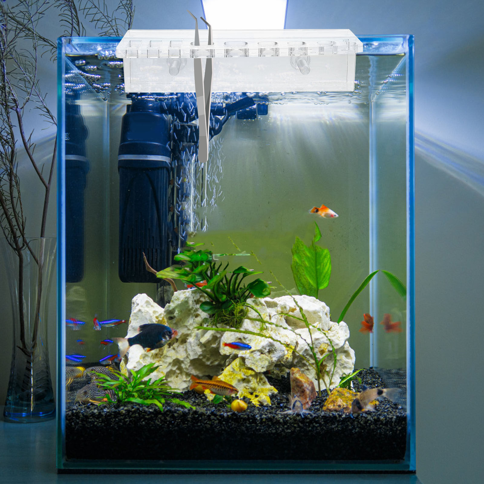 Tempat Alat Akuarium Rak Penyi - Aquarium Planted Wall ulasan dan harga