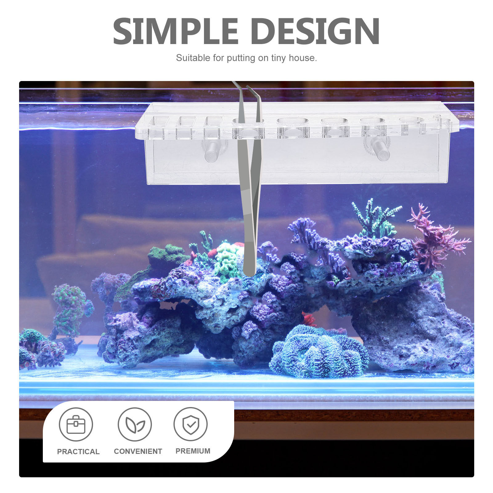Tempat Alat Akuarium Rak Penyi - Aquarium Planted Wall ulasan dan harga