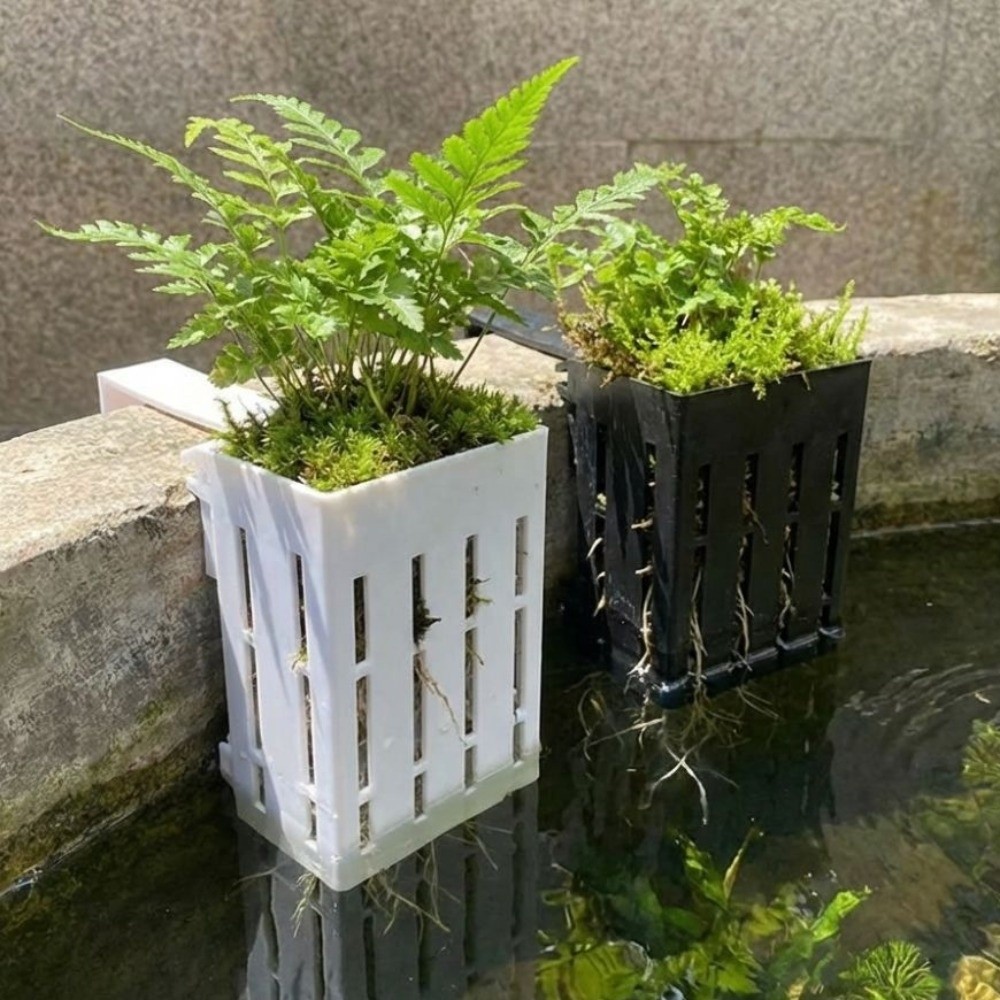 Keranjang Tanaman Akuarium Gan - Aquarium Planted Wall ulasan dan harga