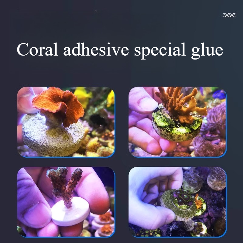 SPS LPS Karang Terumbu Frags P - Aquarium Plant Glue Gel ulasan dan harga