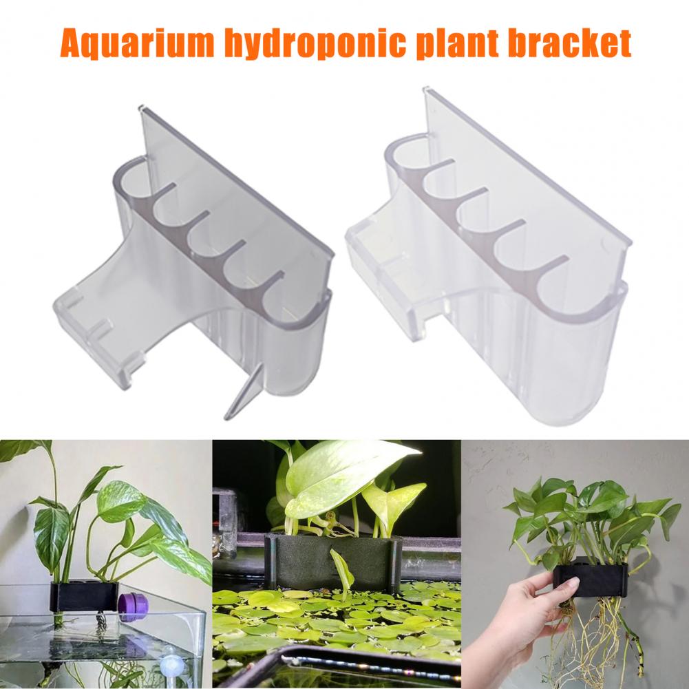4.5/6.5Cm Tempat Tanaman Akuar - Aquarium Planted Fish Tank ulasan dan harga