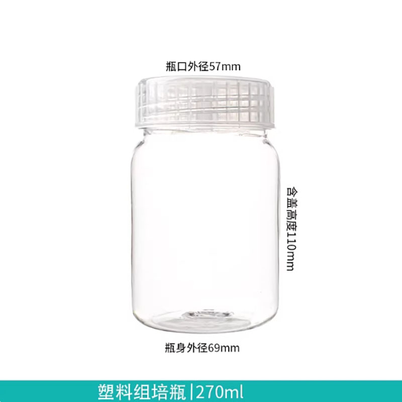 10 buah botol kultur jaringan  - Tissue Culture Plant ulasan dan harga