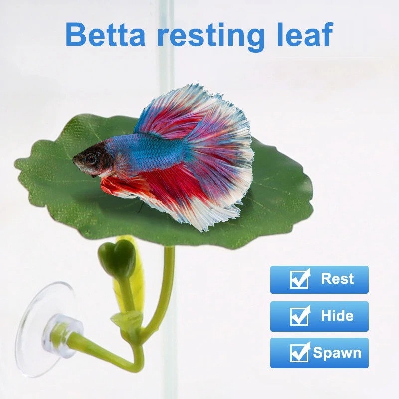 Tempat Tidur Daun Ikan Cupang  - Aquarium Planted Tree ulasan dan harga
