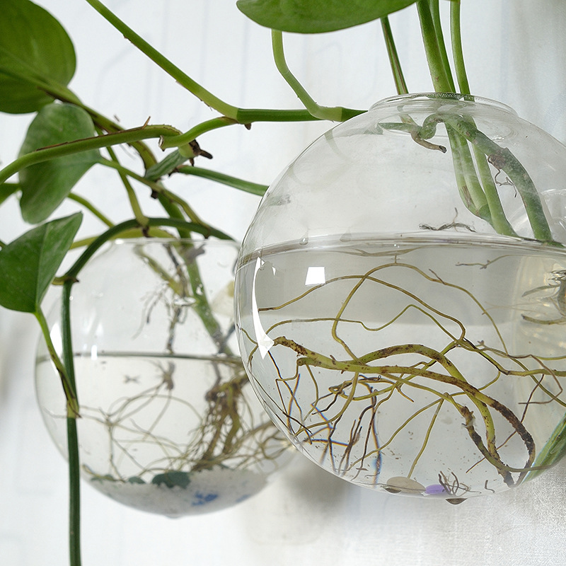 Akuarium Akrilik Gantung Dindi - Aquarium Planted Wall ulasan dan harga