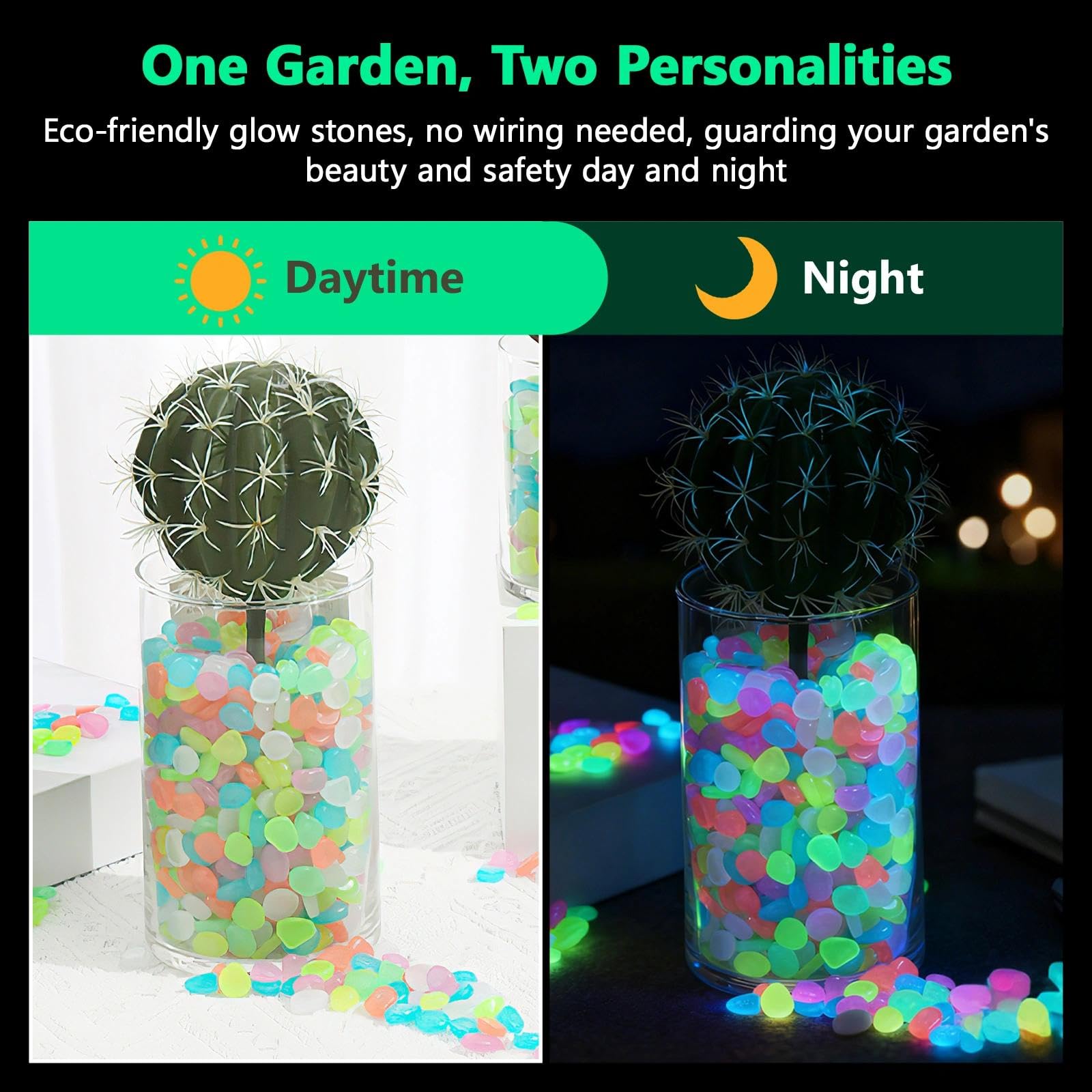 Tanaman Pot Bercahaya Dalam Ge - Aquarium Plant Original ulasan dan harga