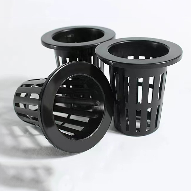 10 buah dekorasi akuarium tang - Planted Aquarium Mini ulasan dan harga